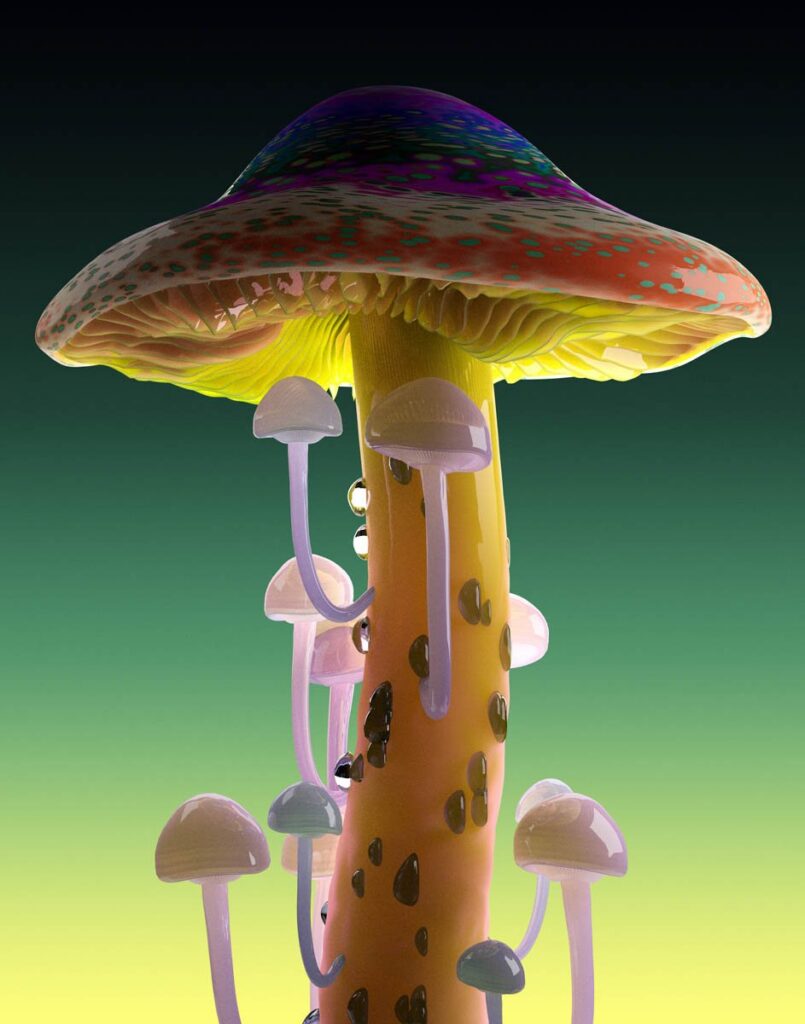 Rare Mushrooms Jonathan Zawada