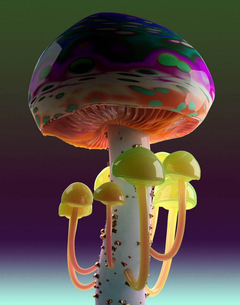 Rare Mushrooms Jonathan Zawada