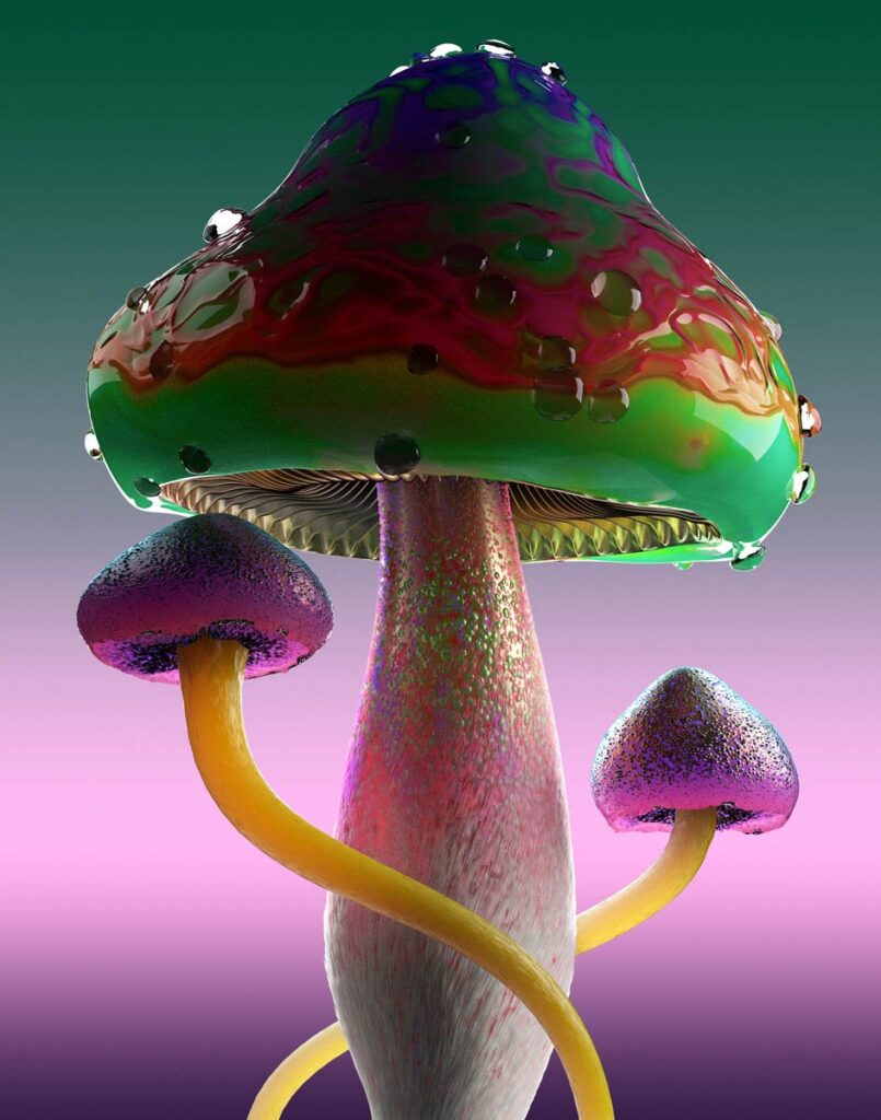 Rare Mushrooms Jonathan Zawada